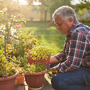 mann gartenarbeit